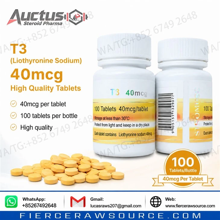 High-Quality 40mcg T3 (Liothyronine Sodium) Pharmaceutical Tablet