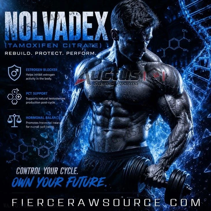 Nolvadex（Tamoxifen Citrate）Top-quality AAS Powder suppliers